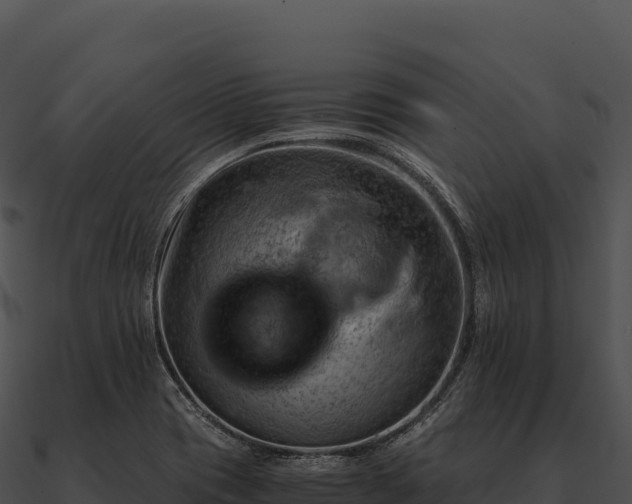 X0000090881417200708031021