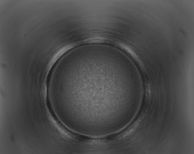 X0000090881418200708031021