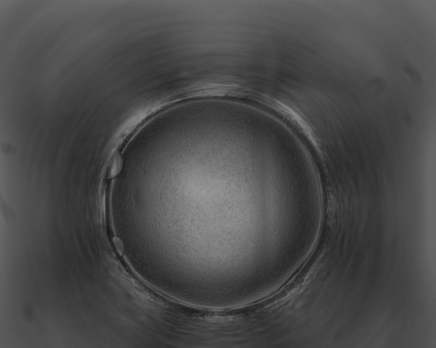 X0000090881419200708031021