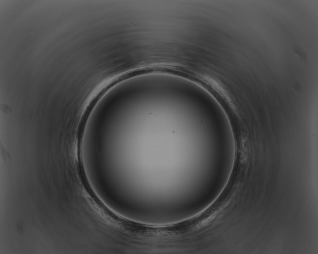 X0000090881420200708031021