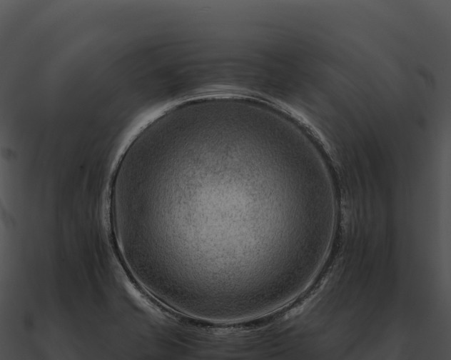 X0000090881421200708031021