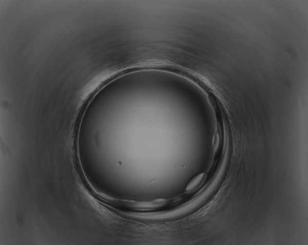 X0000090881422200708031021