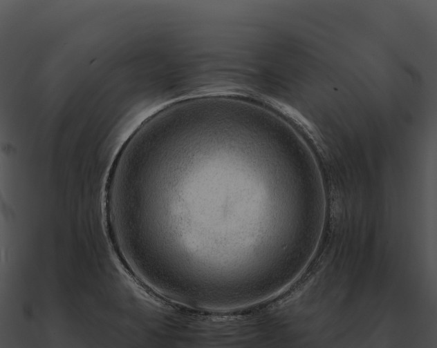 X0000090881423200708031021