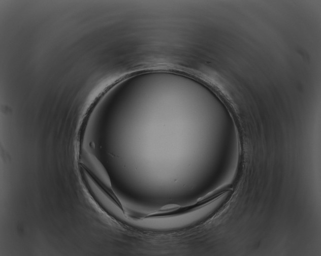 X0000090881424200708031021