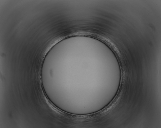 X0000090881425200708031021