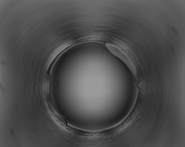 X0000090881426200708031021