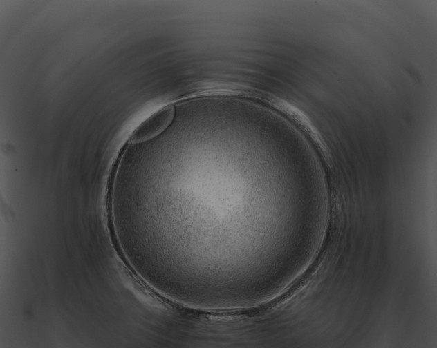X0000090881427200708031021