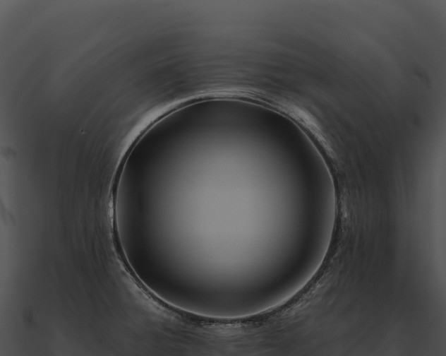 X0000090881428200708031021