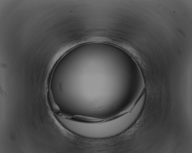 X0000090881430200708031021