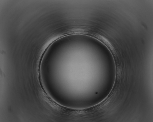 X0000090881435200708031021