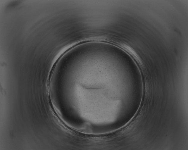 X0000090881436200708031021
