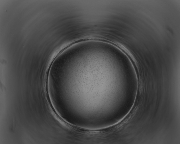 X0000090881437200708031021