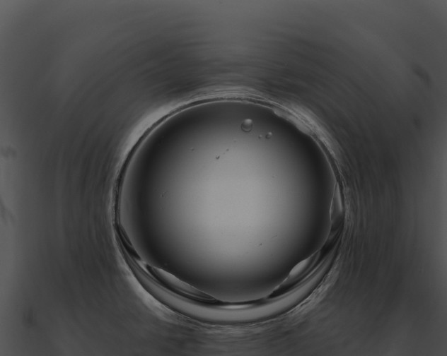 X0000090881438200708031021