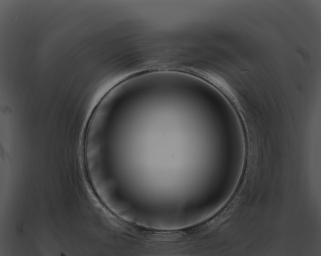 X0000090881440200708031021
