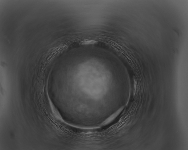 X0000090881441200708031021