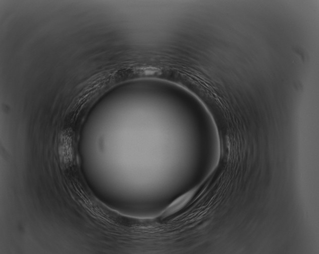 X0000090881442200708031021