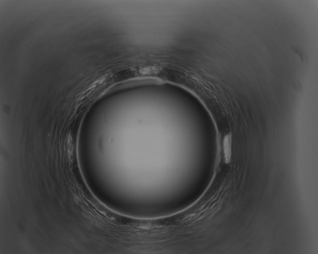 X0000090881443200708031021