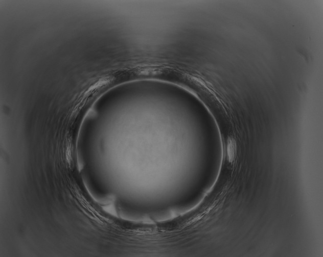 X0000090881444200708031021