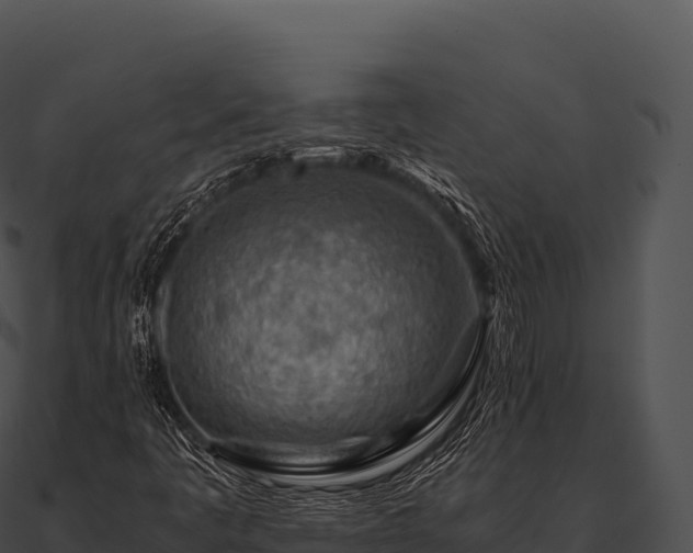 X0000090881445200708031021