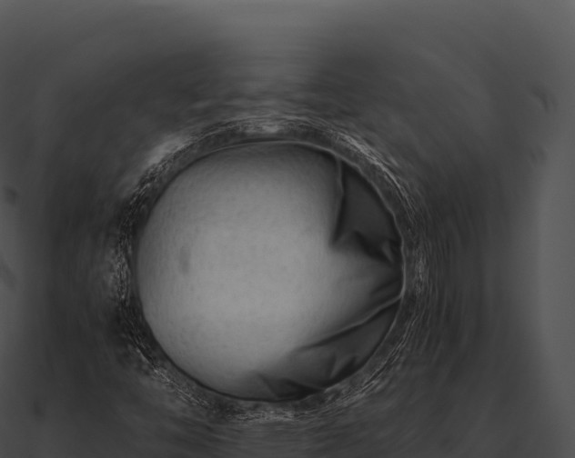 X0000090881446200708031021