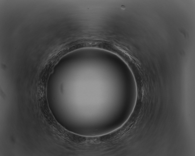 X0000090881447200708031021