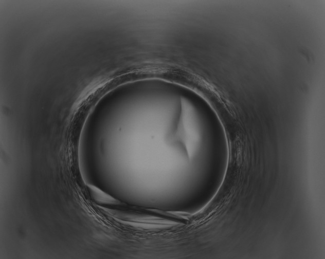 X0000090881448200708031021