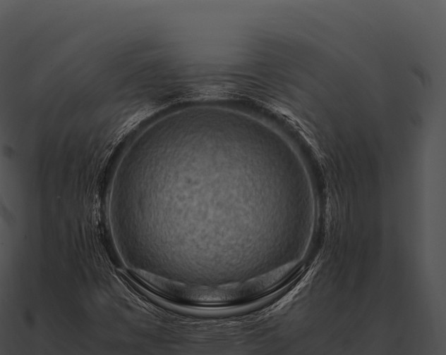 X0000090881449200708031021