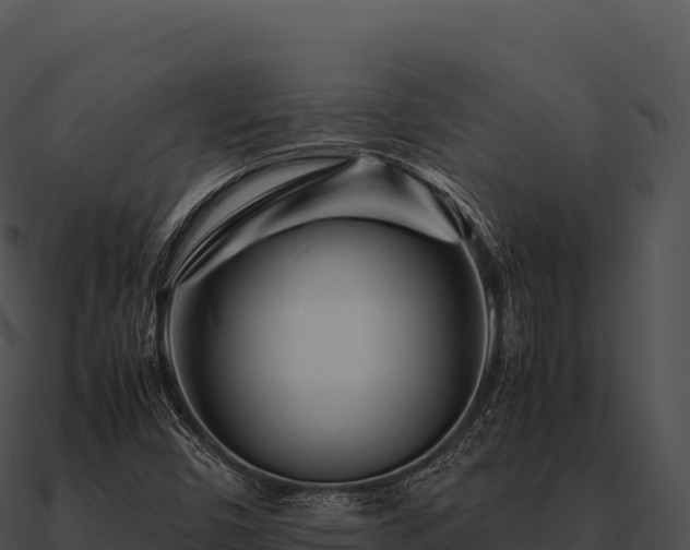X0000090881450200708031021