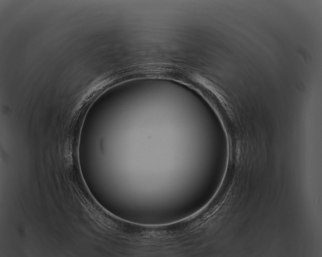 X0000090881451200708031021
