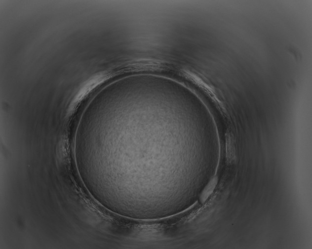 X0000090881453200708031021