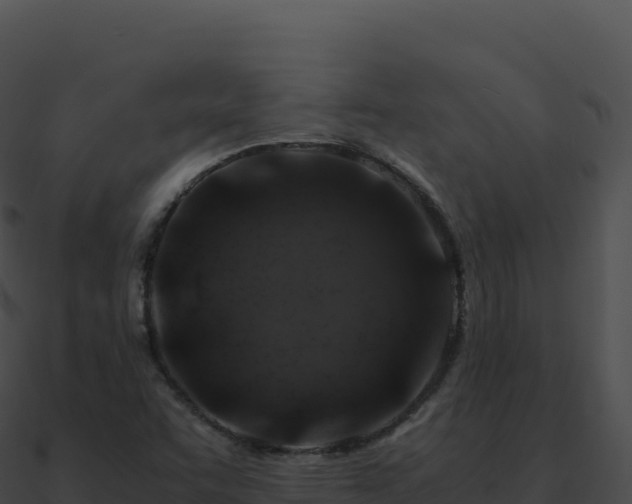 X0000090881455200708031021