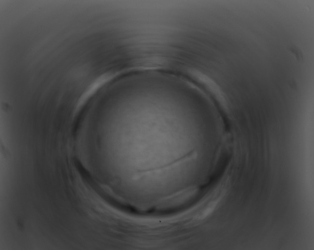 X0000090881457200708031021