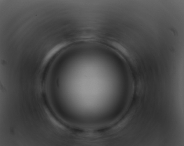 X0000090881458200708031021