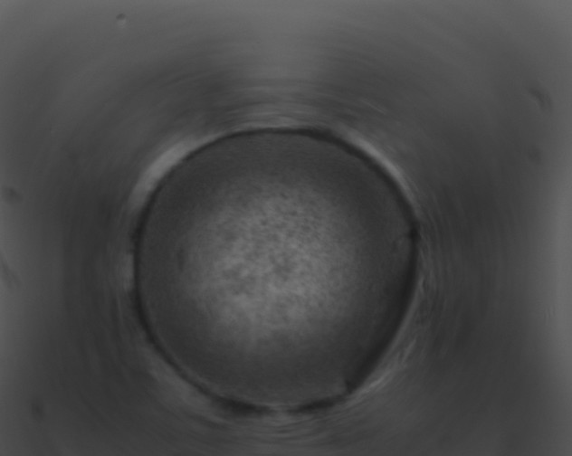 X0000090881459200708031020