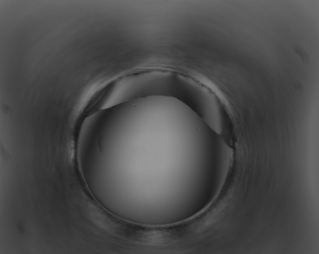 X0000090881461200708031020