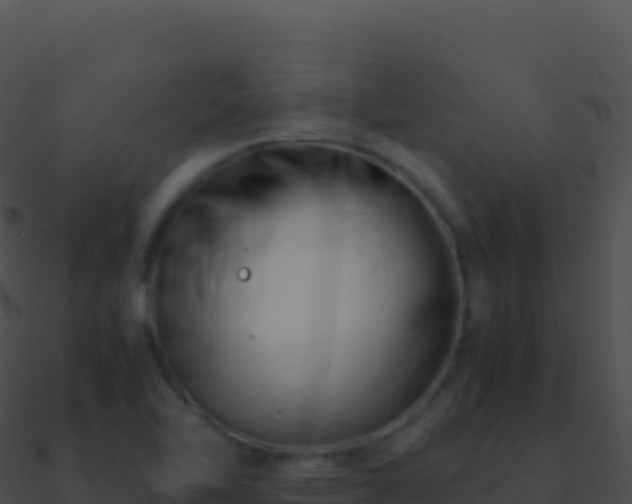 X0000090881462200708031020