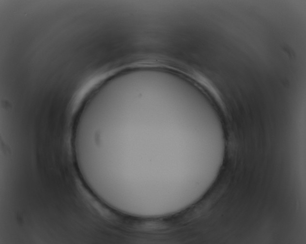 X0000090881464200708031020