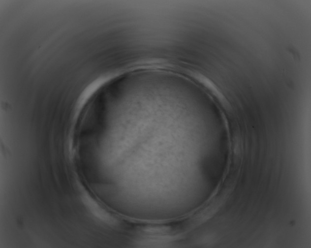 X0000090881466200708031020