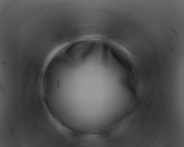 X0000090881470200708031020