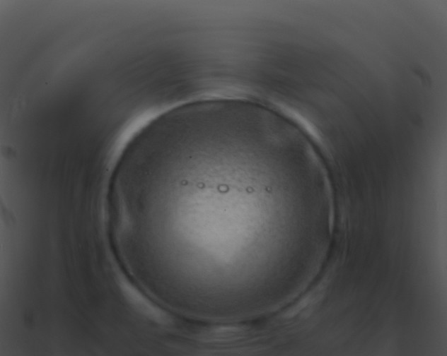X0000090881471200708031020