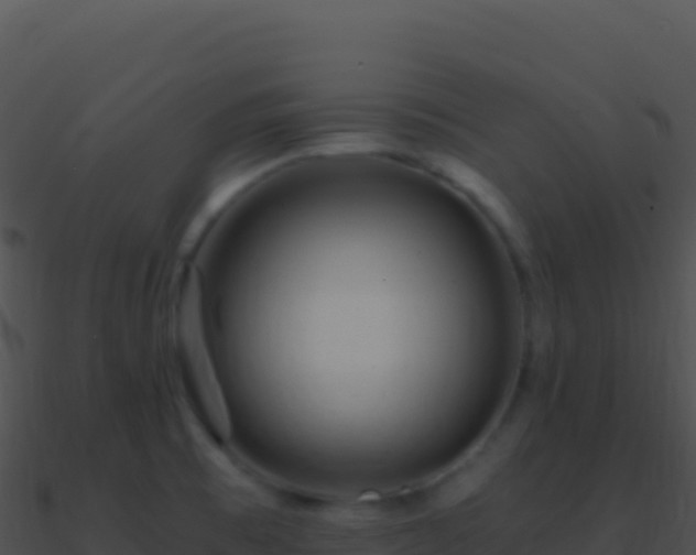 X0000090881473200708031020