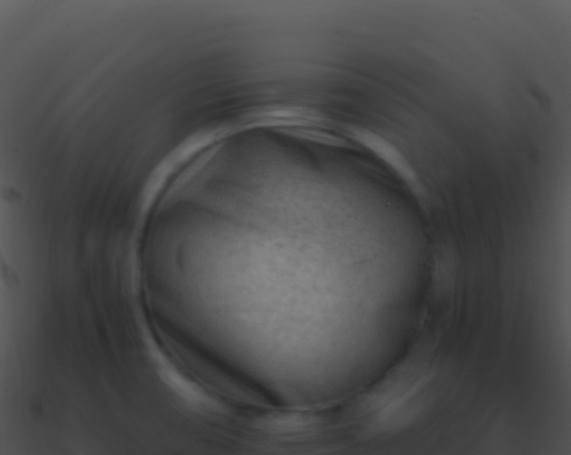 X0000090881474200708031020