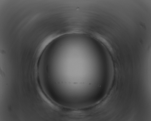 X0000090881479200708031020