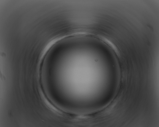 X0000090881483200708031020