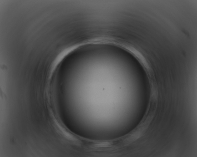 X0000090881486200708031020