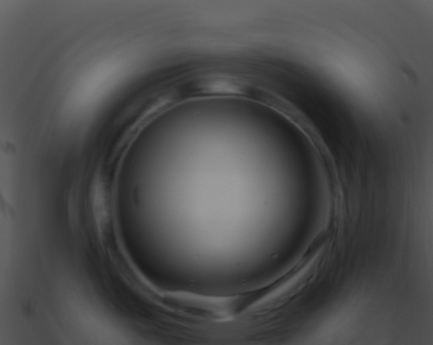 X0000090881487200708031020