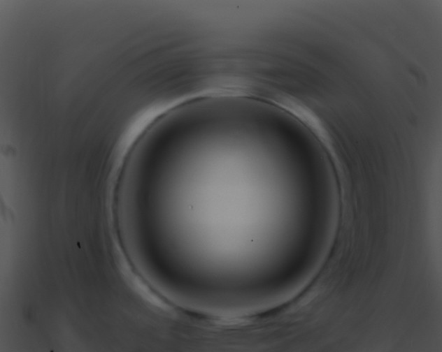 X0000090881488200708031020