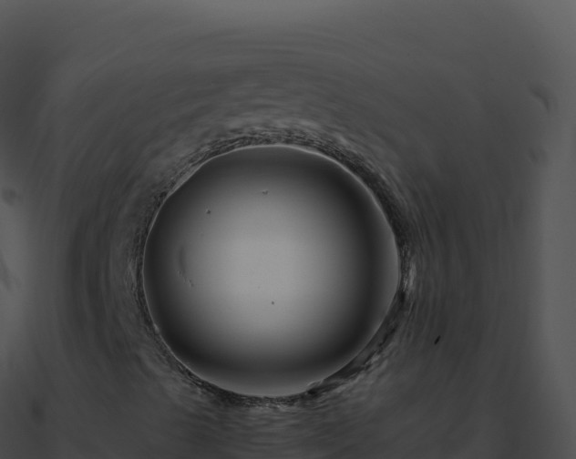 X0000090881489200708031019