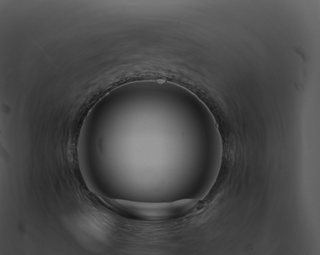 X0000090881490200708031019