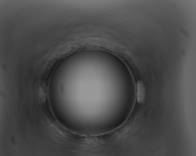 X0000090881491200708031019